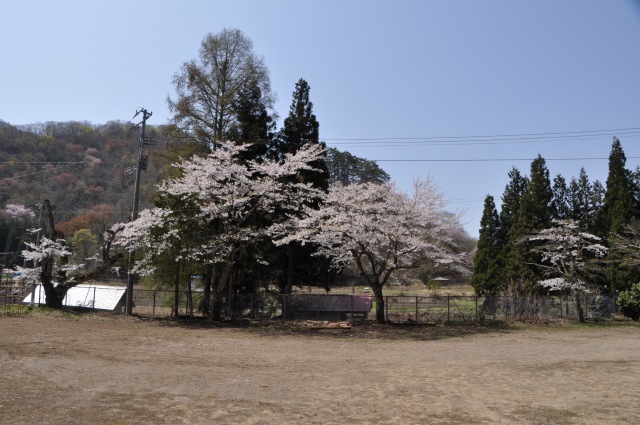 e0078069_1854976.jpg