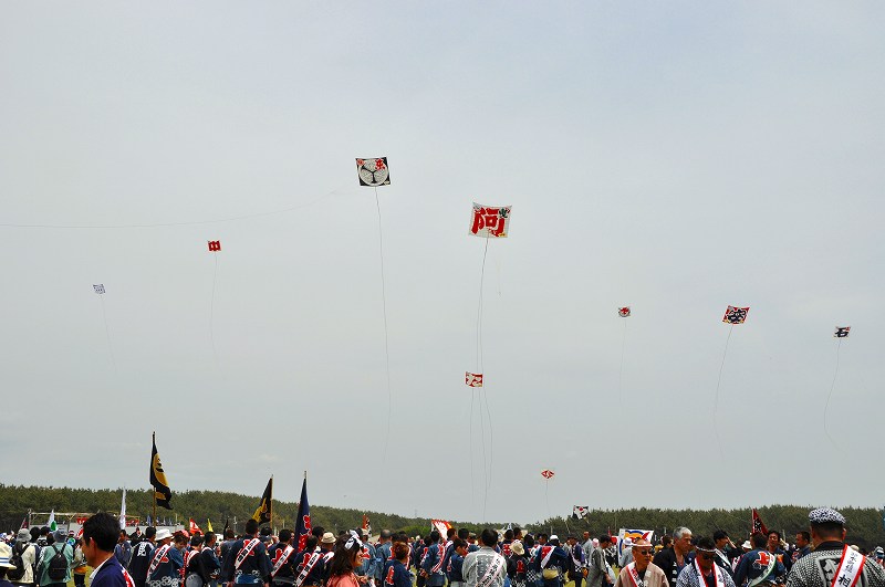 b0167370_1010388.jpg