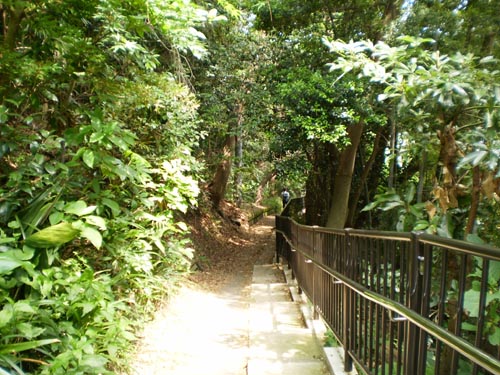 e0164571_14313441.jpg