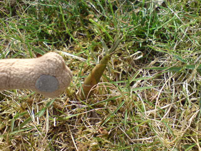 c0158573_15392039.jpg