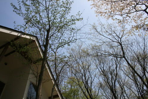 e0114977_0545263.jpg