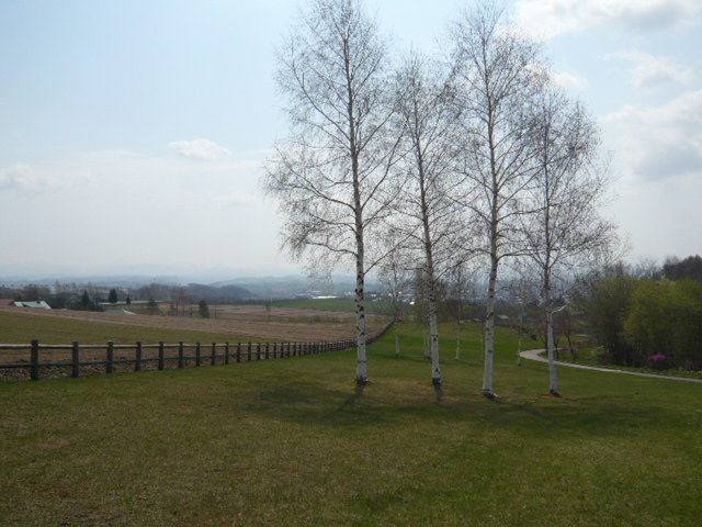c0175679_21045.jpg