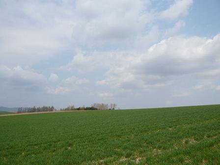 c0175679_213473.jpg
