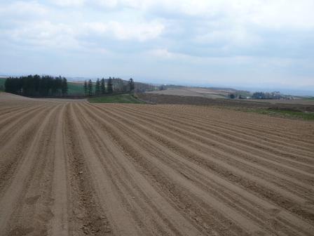 c0175679_2143047.jpg