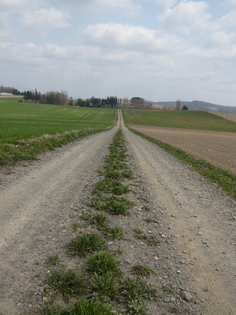 c0175679_21458100.jpg