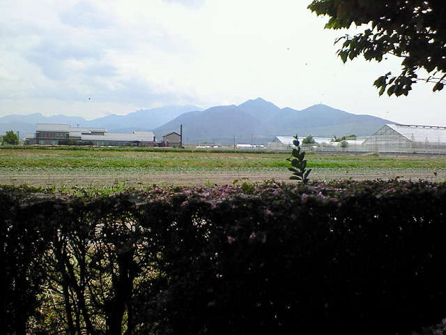 f0043780_1413779.jpg