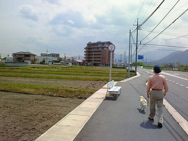 f0043780_1419587.jpg