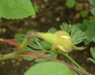 f0178381_2136083.jpg