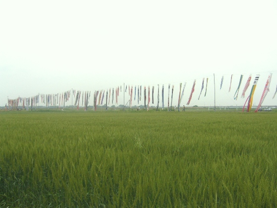 f0178381_2138213.jpg