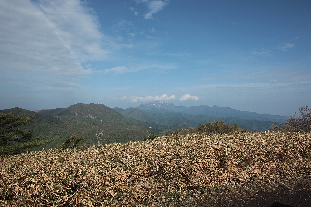 a0076683_19394670.jpg