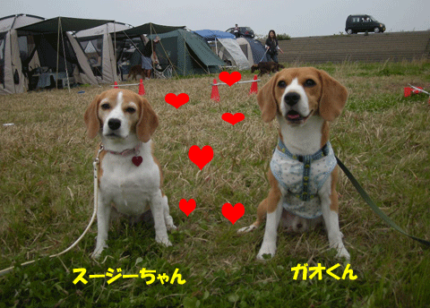 e0066883_23203370.gif