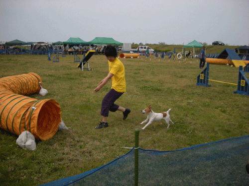 e0066883_2334303.gif