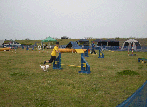 e0066883_23353471.gif