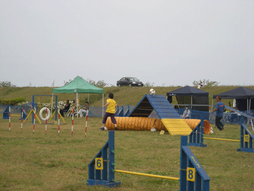 e0066883_23434155.gif