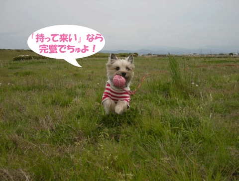 e0066883_23502251.gif