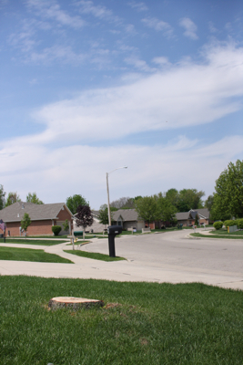 c0130986_9281970.jpg