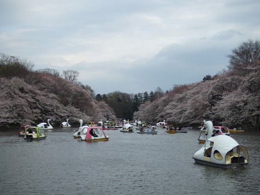 e0030488_1329348.jpg
