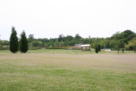 f0085889_12163790.jpg