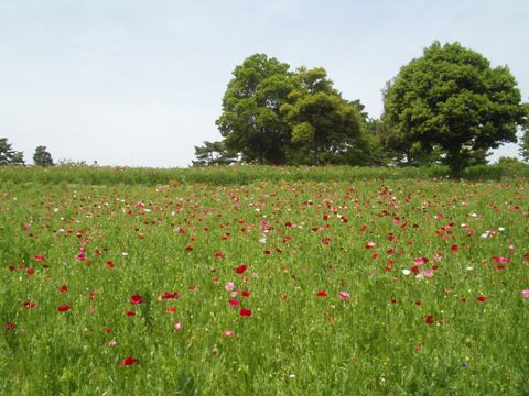 f0018790_22542028.jpg
