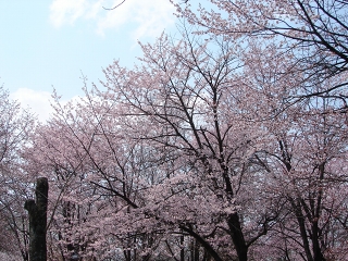 f0195891_17261529.jpg