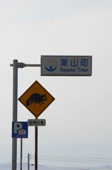 e0094492_21384553.jpg