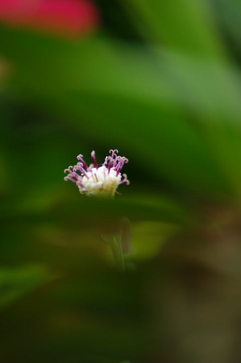 f0141392_9425677.jpg