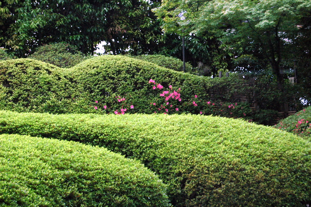 b0077394_17584540.jpg