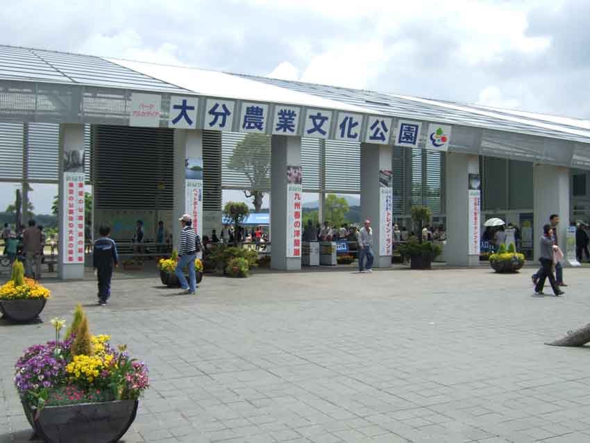 f0176194_194673.jpg