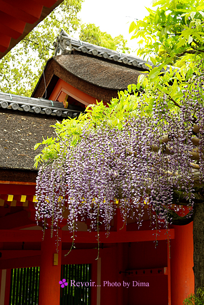c0183700_11121064.jpg