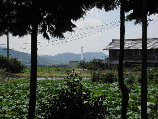 d0121300_19472888.jpg