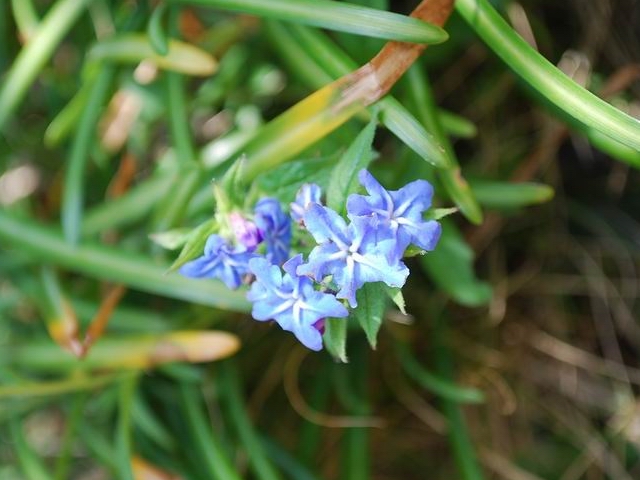 e0025300_125036.jpg