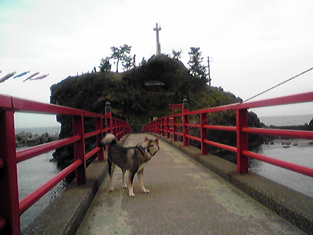 f0079202_19363331.jpg