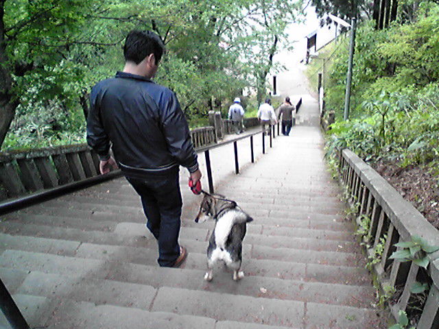 f0079202_1938574.jpg