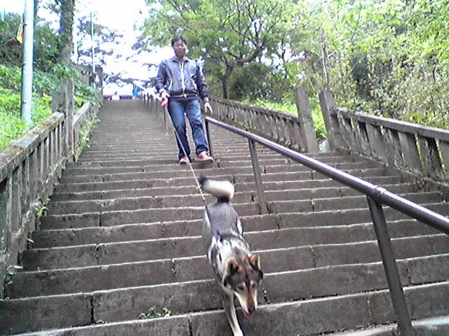 f0079202_1938581.jpg