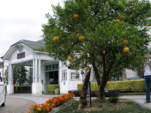 c0036203_18312885.jpg