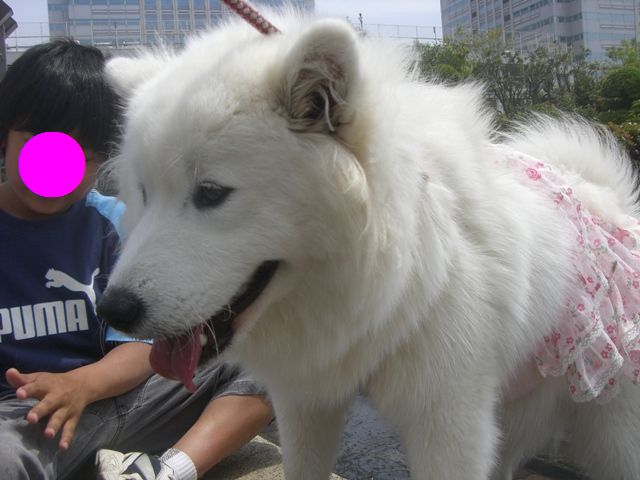 e0018604_8512682.jpg