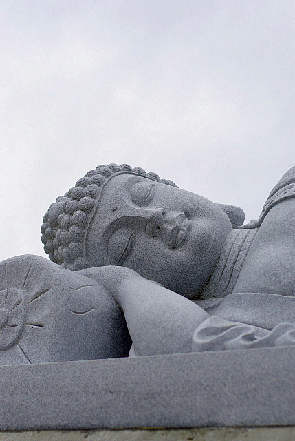e0163608_211699.jpg