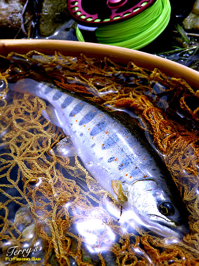 e0009009_14344667.jpg