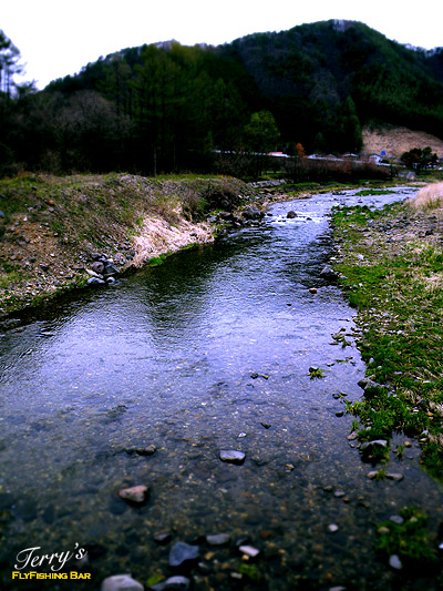 e0009009_14364449.jpg