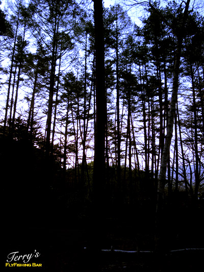e0009009_14371086.jpg