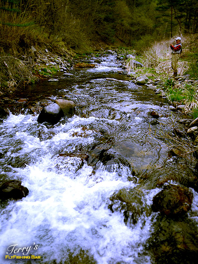 e0009009_14373431.jpg