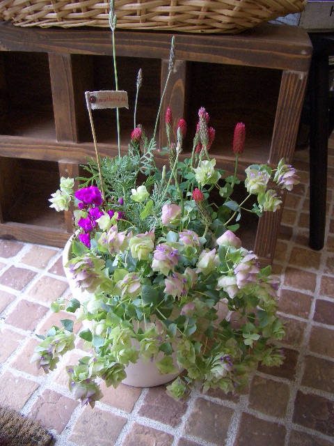 e0128909_2065421.jpg