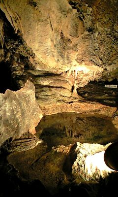 d0077410_237147.jpg