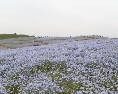 f0006510_23544332.jpg