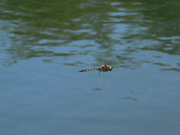 e0002314_2291934.jpg