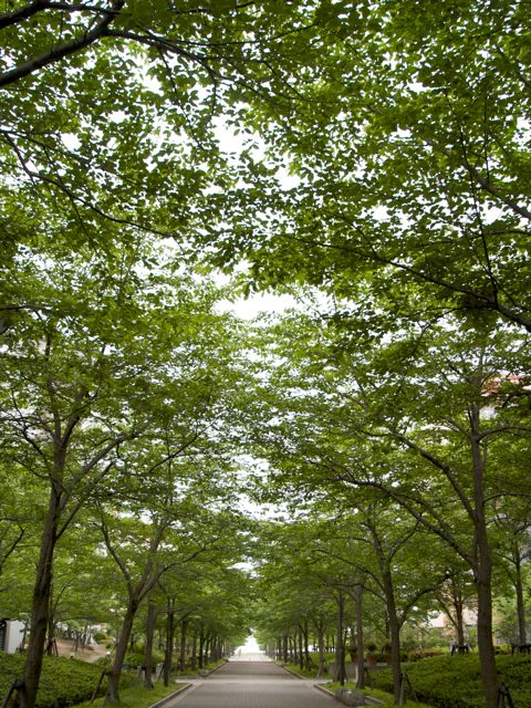 b0168516_17125146.jpg