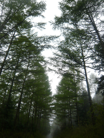 f0181018_23204568.jpg