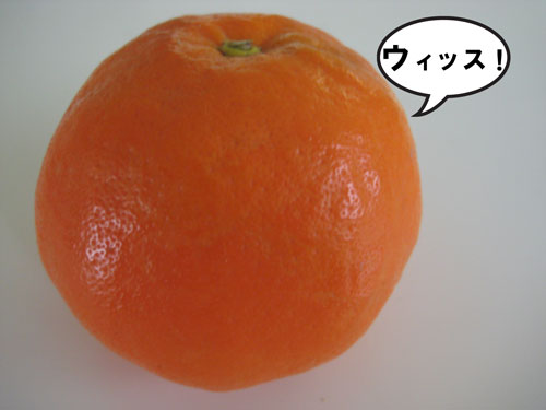 f0202818_22213490.jpg