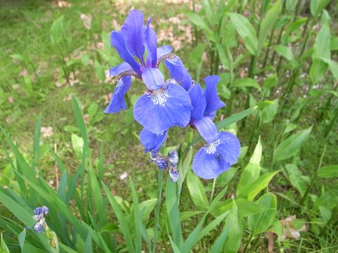 f0100920_12409.jpg