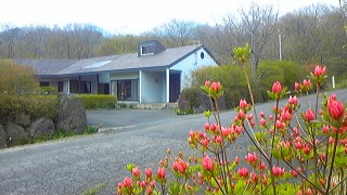 c0033521_21511100.jpg